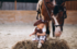 Родительский портал - Фотосессия с лошадьми
